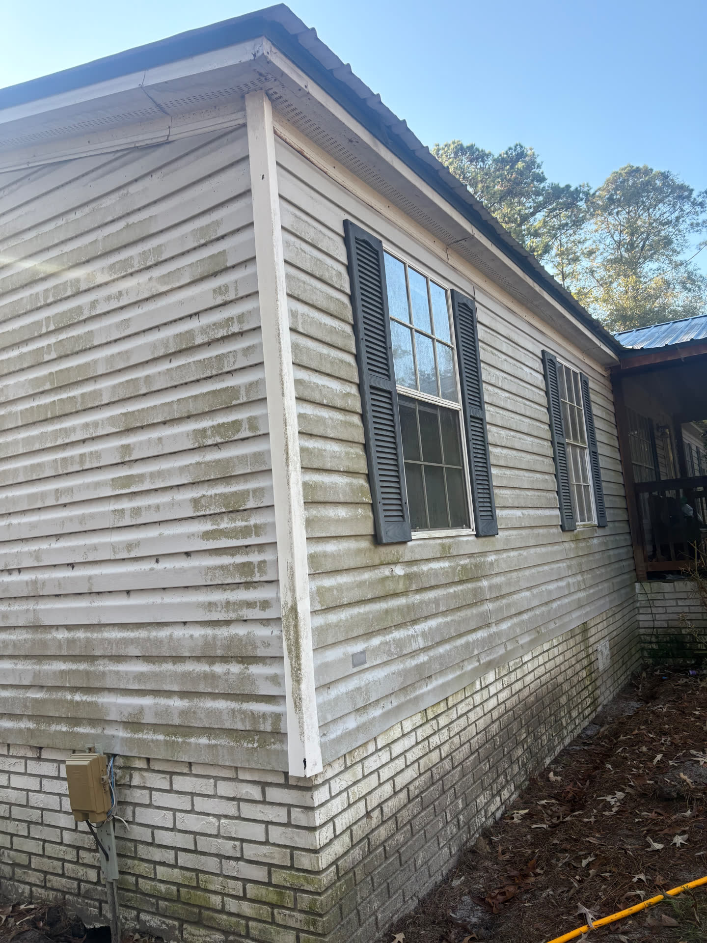 Vinyl siding and brick covered in green algae and dirt before soft washing
